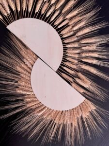 Pampas Güneşi Nasıl Yapılır? - Resim 26