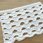 Tunus İşi Yeni Örgü Modeli 5