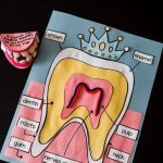 Ağız ve Diş Sağlığı Haftası Etkinlikleri Okul Öncesi 53