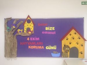 Hayvanları Koruma Etkinlikleri Okul Öncesi - Resim 30