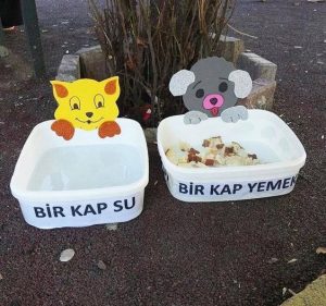 Hayvanları Koruma Etkinlikleri Okul Öncesi - Resim 33