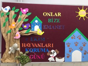 Hayvanları Koruma Etkinlikleri Okul Öncesi - Resim 6