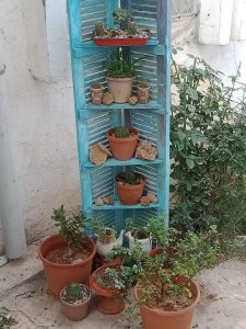 Kendin Yap Bahçe Projeleri - Resim 55