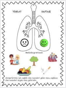 Yeşilay Haftası Etkinlikleri Okul Öncesi - Resim 10