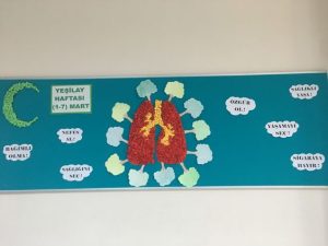 Yeşilay Haftası Etkinlikleri Okul Öncesi - Resim 34