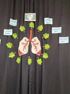 Yeşilay Haftası Etkinlikleri Okul Öncesi - Resim 41