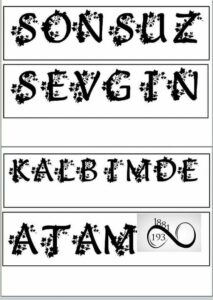10 Kasım Atatürk Resimleri - Resim 29