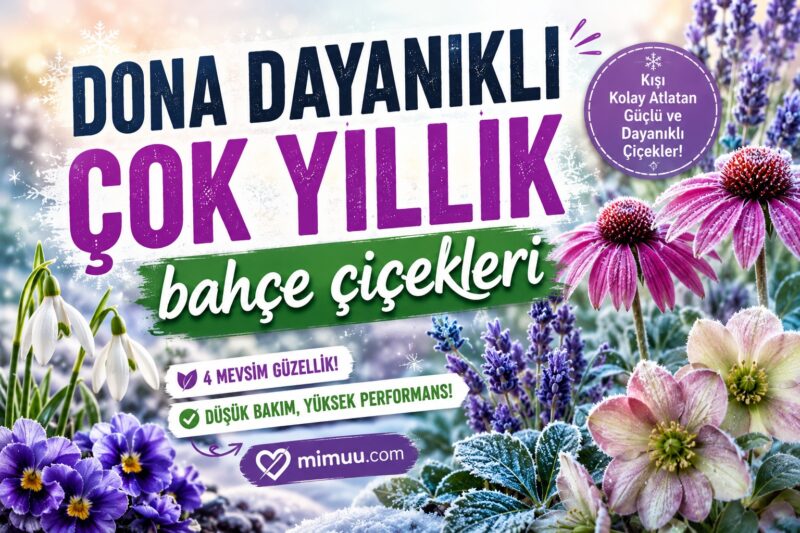Kışa Soğuğa Dona Dayanıklı 12 Çiçek 13
