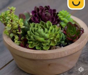 Antep Fıstığı Kabuklarıyla Neler Yapılır 42