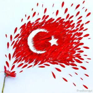 29 Ekim Sınıf Süslemeleri - Resim 23