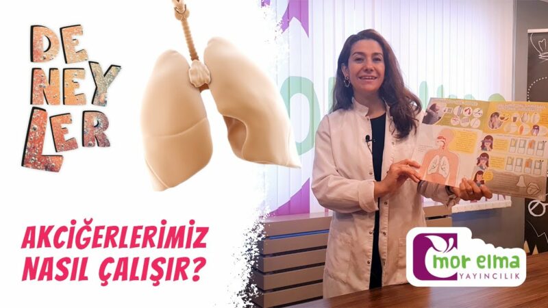 Akciğer Deneyi Okul Öncesi