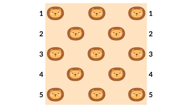 Aslan Motifli Bebek Battaniyesi Yapılışı 8