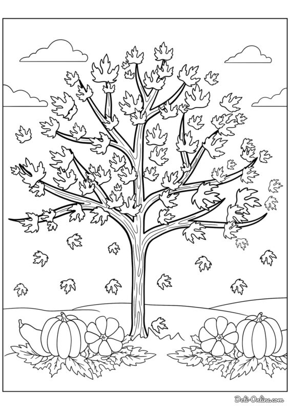 Boyama Sayfaları Okul Öncesi 62