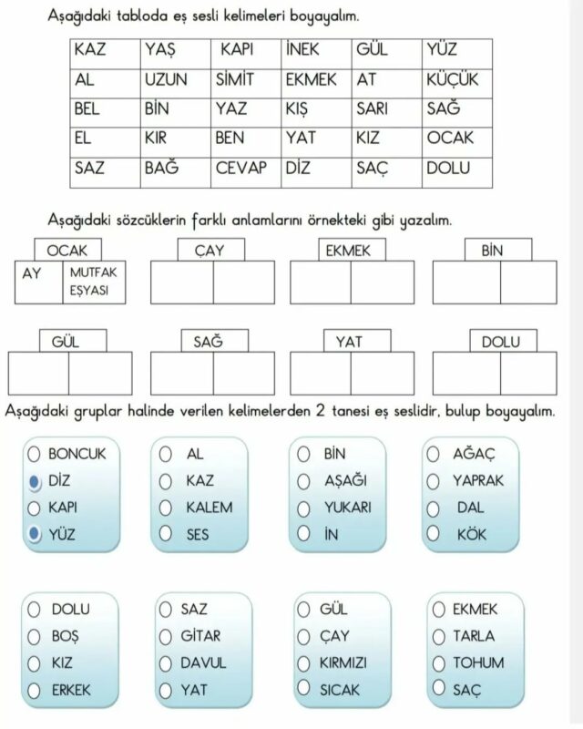 Eş Sesli Kelimeler Etkinlikleri 19