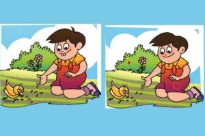 İki Resim Arasındaki Farkı Bulma Etkinlikleri 45