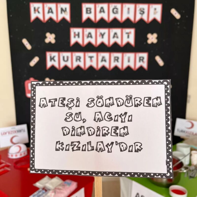 Kızılay Haftası Pano Çalışmaları 100