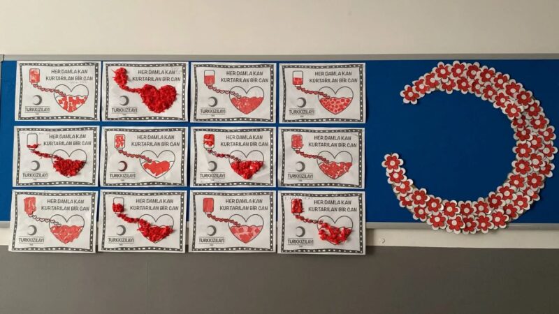 Kızılay Haftası Pano Çalışmaları 10