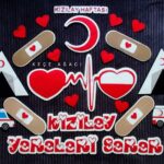 Kızılay Haftası Pano Çalışmaları 24