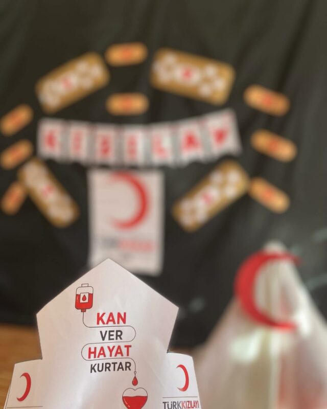 Kızılay Haftası Pano Çalışmaları 27