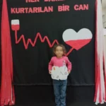 Kızılay Haftası Pano Çalışmaları 43