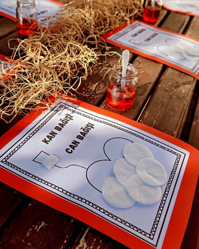 Kızılay Haftası Pano Çalışmaları 54