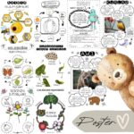 Kızılay Haftası Pano Çalışmaları 59