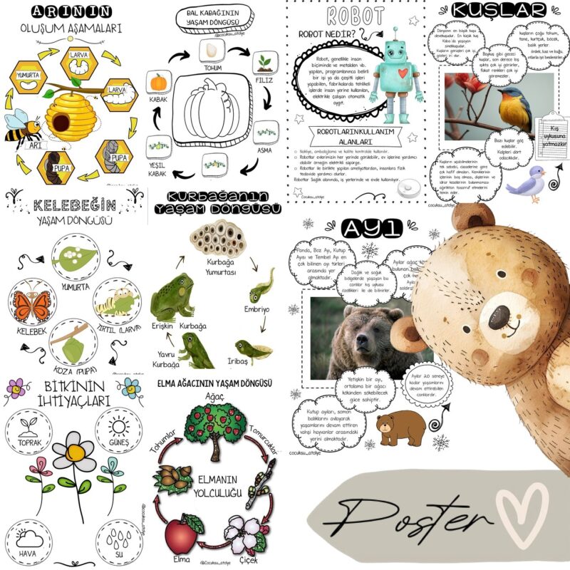 Kızılay Haftası Pano Çalışmaları 59