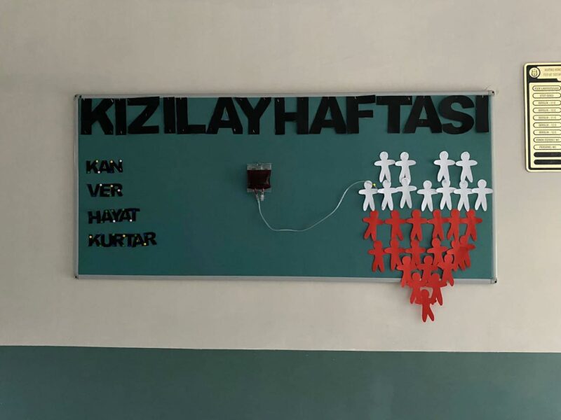 Kızılay Haftası Pano Çalışmaları 7