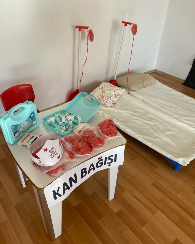 Kızılay Haftası Pano Çalışmaları 8