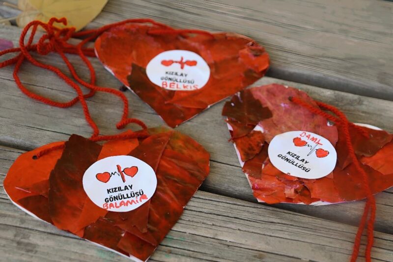 Kızılay Haftası Pano Çalışmaları 94