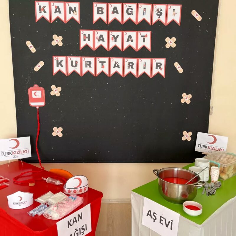 Kızılay Haftası Pano Çalışmaları 98