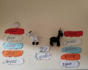 Zıt Anlam ve Eş Anlamlı Kelime Çalışmaları - Resim 10