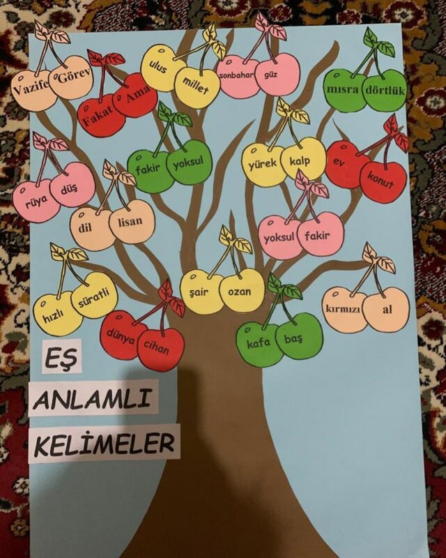 Zıt Anlam ve Eş Anlamlı Kelime Çalışmaları 12