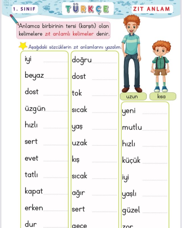 Zıt Anlam ve Eş Anlamlı Kelime Çalışmaları 16