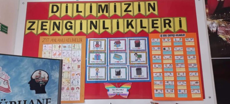 Zıt Anlam ve Eş Anlamlı Kelime Çalışmaları 7