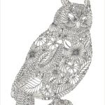 Büyükler İçin Boyama Sayfası Örnekleri 18