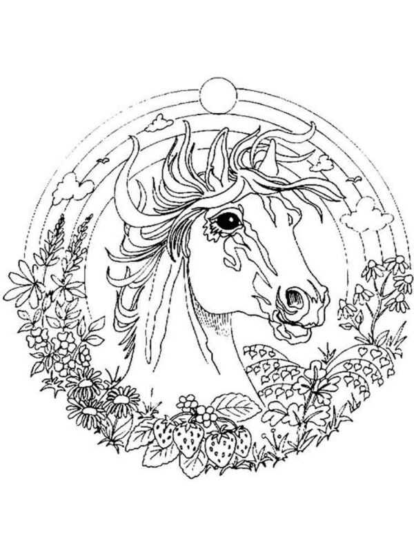 Büyükler İçin Boyama Sayfası Örnekleri 30