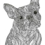 Büyükler İçin Boyama Sayfası Örnekleri 41