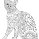 Büyükler İçin Boyama Sayfası Örnekleri 44