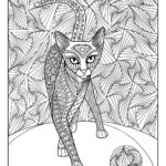 Büyükler İçin Boyama Sayfası Örnekleri 45