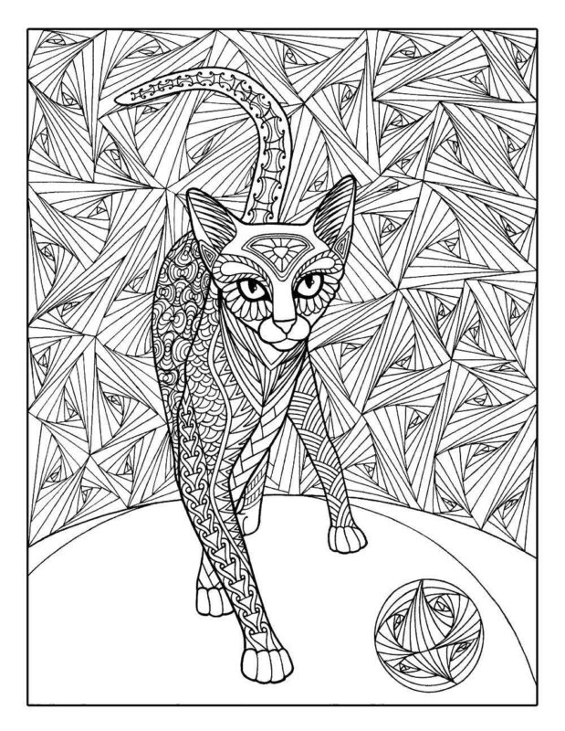 Büyükler İçin Boyama Sayfası Örnekleri 45