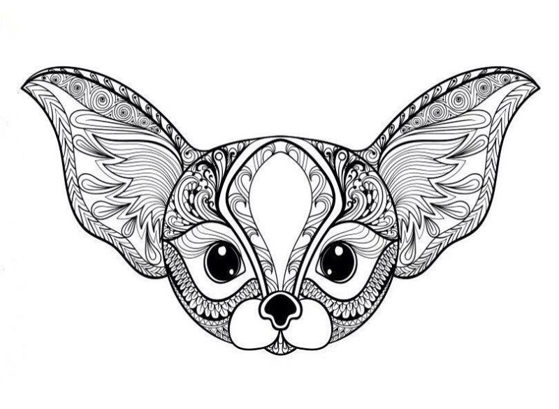 Büyükler İçin Boyama Sayfası Örnekleri 55