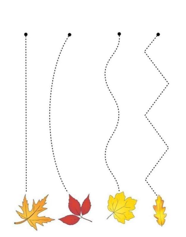 Çizgi Çalışmaları Okul Öncesi 12