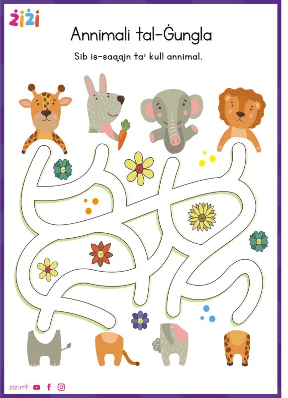 Çizgi Çalışmaları Okul Öncesi 21