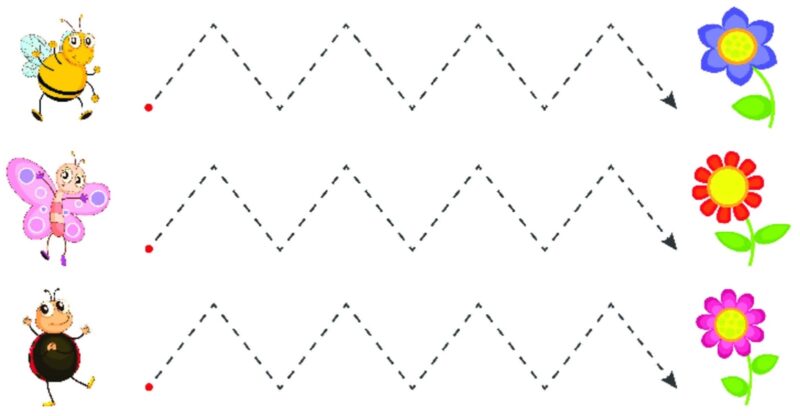 Çizgi Çalışmaları Okul Öncesi 2