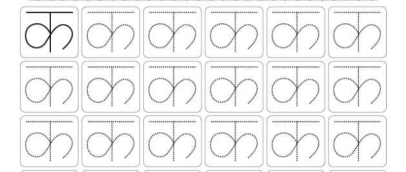 Çizgi Çalışmaları Okul Öncesi 8