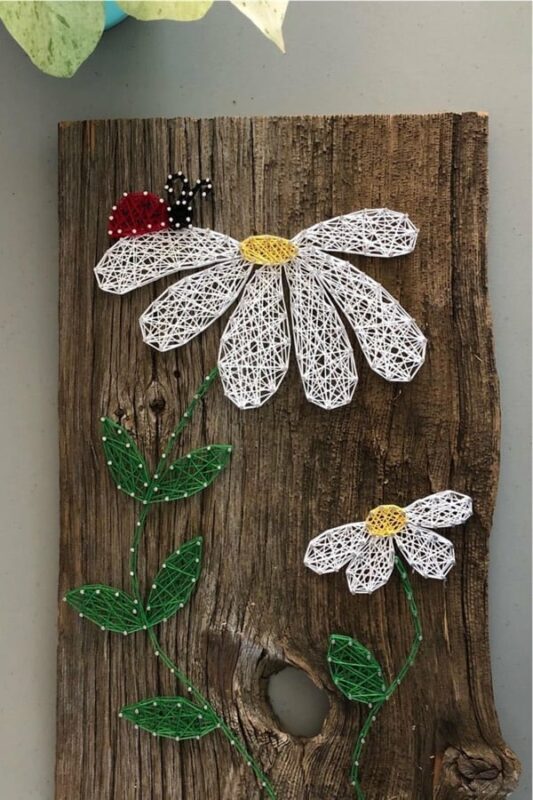 Filografi Nedir Nasıl Yapılır? 24