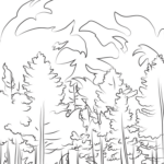 Yangın Haftası Boyama Sayfaları 10