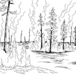 Yangın Haftası Boyama Sayfaları 31