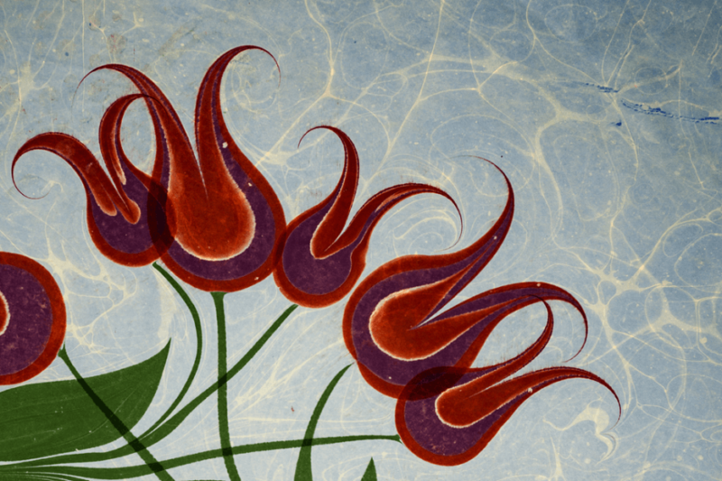 Ebru Menekşe Nasıl Yapılır? 1